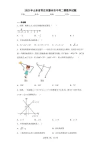 2023年山东省枣庄市滕州市中考二模数学试题