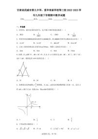 甘肃省武威市第九中学-爱华育新学校等三校2022-2023学年九年级下学期期中数学试题