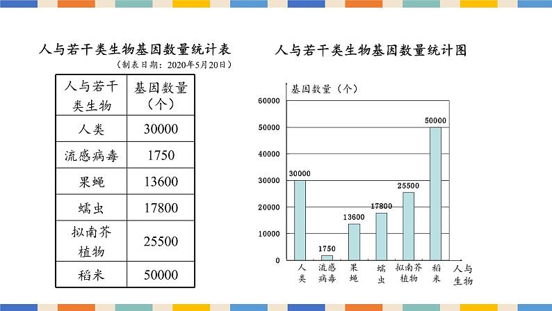 6.2条形统计图和折线统计图课件PPT第7页