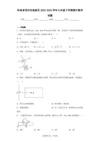 河南省郑州市高新区2022-2023学年七年级下学期期中数学试题