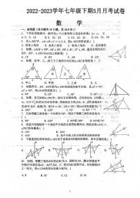 河南省驻马店市泌阳县2022-2023学年七年级下学期5月月考数学试题