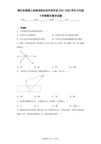 湖北省恩施土家族苗族自治州来凤县2021-2022学年七年级下学期期末数学试题