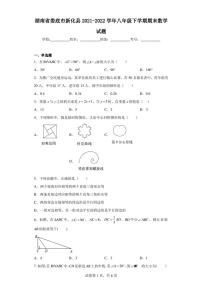 湖南省娄底市新化县2021-2022学年八年级下学期期末数学试题