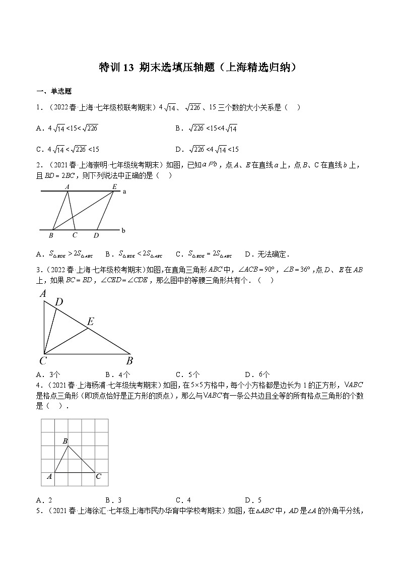 特训13 期末选填压轴题（上海精选归纳）-2022-2023学年七年级数学下册期中期末挑战满分冲刺卷（沪教版，上海专用）01