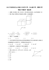 2023年吉林省白山市临江市光华中学、宝山镇中学、桦树中学等校中考数学一模试卷（含解析）