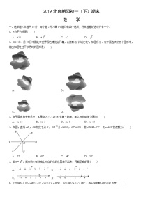 2019北京朝阳初一（下）期末数学（教师版）