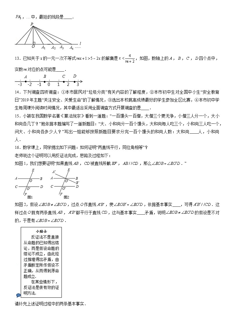 2019北京朝阳初一（下）期末数学（教师版） 试卷03