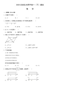 2020北京北大附中初一（下）期末数学（教师版）