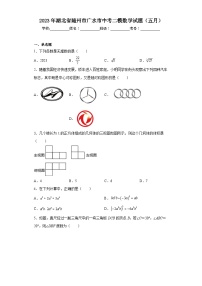 2023年湖北省随州市广水市中考二模数学试题（五月）（含解析）