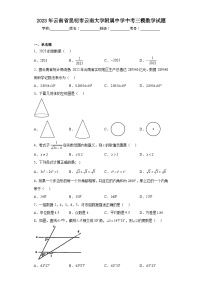 2023年云南省昆明市云南大学附属中学中考三模数学试题（含解析）