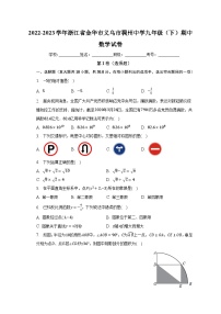 2022-2023学年浙江省金华市义乌市稠州中学九年级（下）期中数学试卷（含解析）