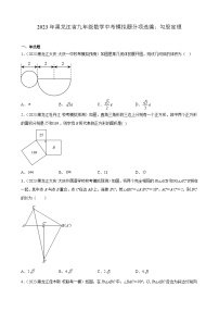 2023年黑龙江省九年级数学中考模拟题分项选编：勾股定理