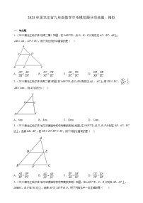 2023年黑龙江省九年级数学中考模拟题分项选编：相似