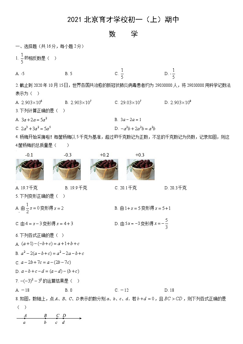 2021北京育才学校初一（上）期中数学（教师版） 试卷01