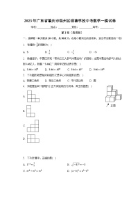 2023年广东省肇庆市端州区颂德学校中考数学一模试卷（含解析）