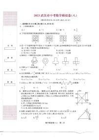 2023年湖北省武汉市勤学早中考数学模拟卷（八）