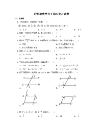 2022--2023学年沪科版数学七年级下学期期末复习试卷