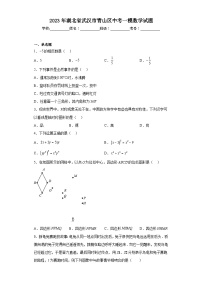 2023年湖北省武汉市青山区中考一模数学试题（含解析）