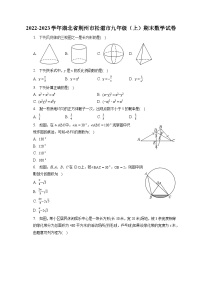 2022-2023学年湖北省荆州市松滋市九年级（上）期末数学试卷（含解析）