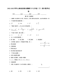 2022-2023学年云南省曲靖市麒麟六中七年级（下）期中数学试卷（含解析）