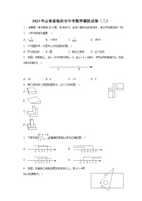 2023年山东省临沂市中考数学模拟试卷（二）