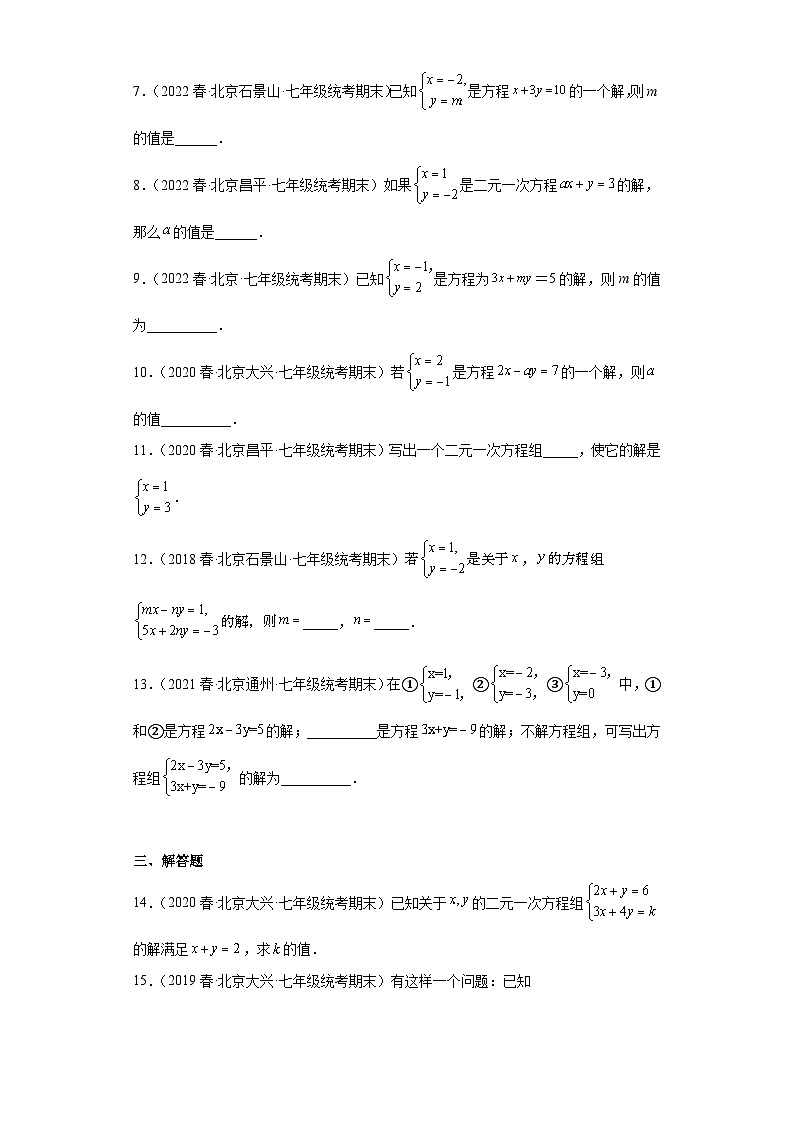 06二元一次方程组和它的解-七年级数学下学期期末复习知识点专题练习（北京专用）第2页