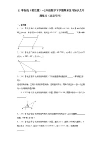 11平行线（填空题）-七年级数学下学期期末复习知识点专题练习（北京专用）