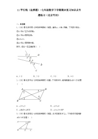 11平行线（选择题）-七年级数学下学期期末复习知识点专题练习（北京专用）