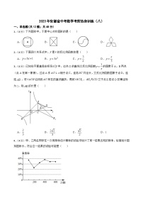 2023年安徽省中考数学考前热身训练（八）(含答案)