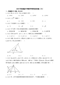 2023年安徽省中考数学考前热身训练（六）(含答案)