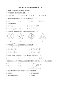 2023年广东省中考数学考前热身训练（四）(含答案)