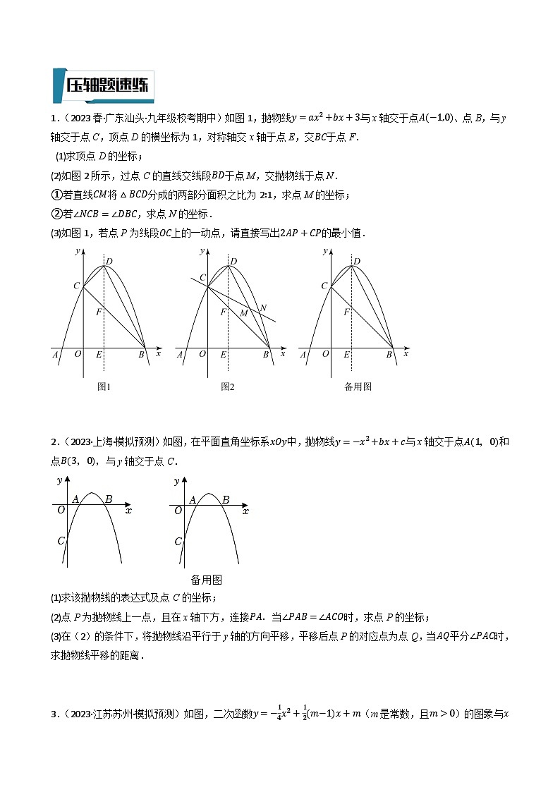 2023年中考数学压轴题专项训练 压轴题09二次函数与角度数量关系问题 (试题)第3页