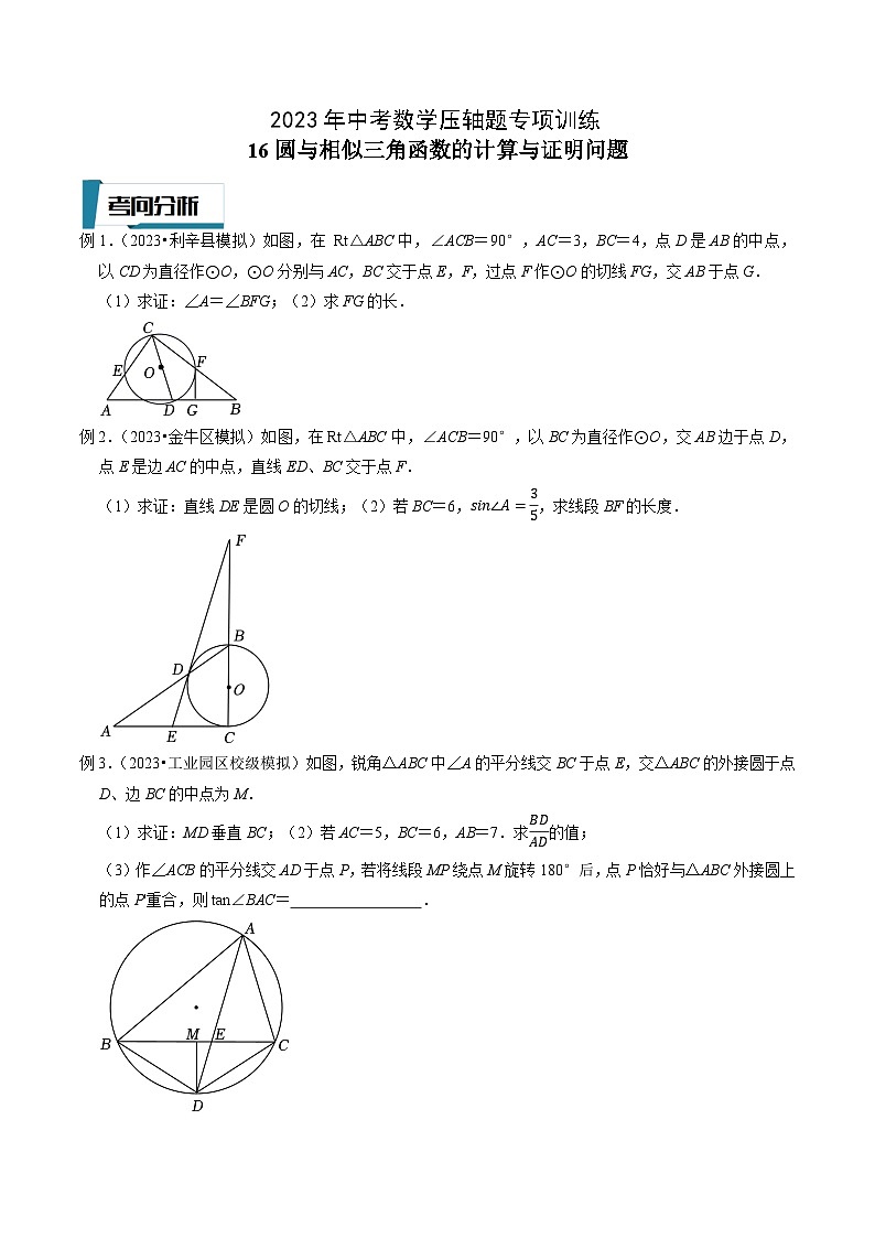 2023年中考数学压轴题专项训练 压轴题16圆与相似三角函数的计算与证明问题 (试题)第1页