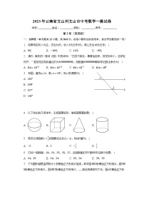 2023年云南省文山州文山市中考数学一模试卷（含解析）