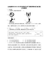 山东省滕州市张汪中学2022-2023学年下学期七年级数学期末复习练习题