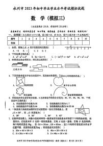 湖南省永州市2023年初中毕业学业水平考试模拟（三）数学试题