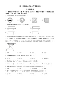 精品解析：浙江省绍兴市新昌县八年级上学期期末数学试题