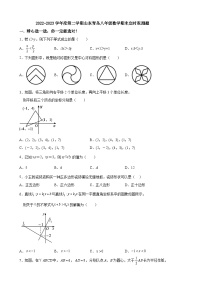 2022-2023学年度第二学期山东青岛八年级数学期末定时观测题