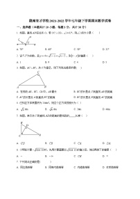 甘肃省陇南育才学校2021-2022学年七年级下学期期末数学试卷(含答案)