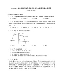 广东省河源市连平县忠信中学2022-2023学年七年级下学期数学期末测试卷(含答案)