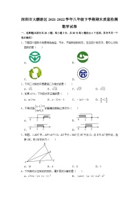 广东省深圳市大鹏新区2021-2022学年八年级下学期期末质量检测数学试卷