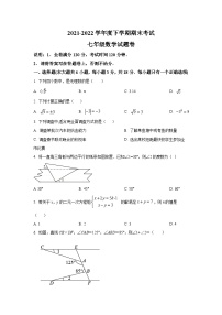 江西省赣州市大余县2021-2022学年七年级下学期期末考试数学试卷(含答案)