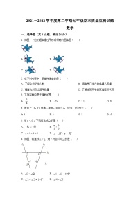 宁夏固原市西吉县2021-2022学年七年级下学期期末考试数学试卷(含解析)