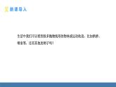 人教版九年级数学上册课件 22.3.3   抛物线型的实际问题