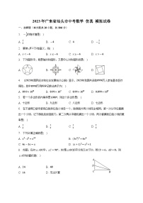 2023年广东省汕头市中考数学仿真模拟试卷(含答案)