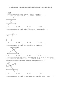 2023年湖南省九年级数学中考模拟题分项选编：相交线与平行线