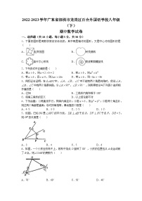 +广东省深圳市龙岗区百合外国语学校2022-2023学年八年级下学期期中数学试卷+