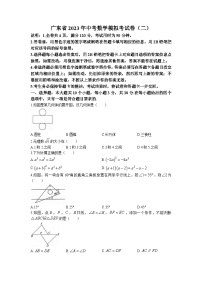 2023年广东省河源市连平县中考二模数学试题