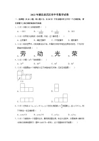 2022年湖北省武汉市中考数学试卷（解析版）