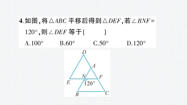 第10章 轴对称、平移与旋转 综合训练 华师版数学七年级下册上课课件第6页